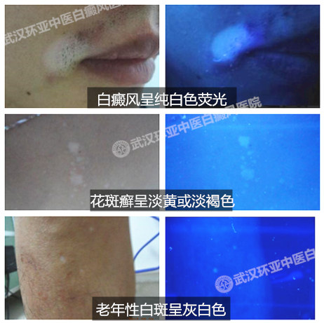 图片2_副本.jpg